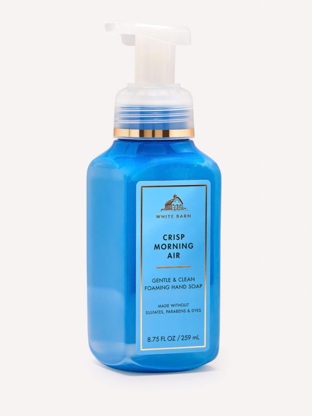White Barn Crisp Morning Air Gentle Foaming Hand Soap - 8.75 oz
